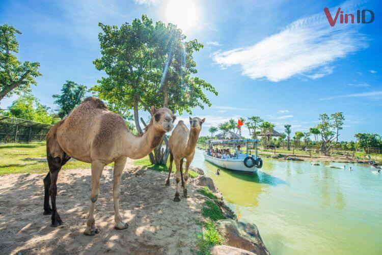 Trải nghiệm đi thuyền thư thái duy nhất tại Safari Nam Hội An