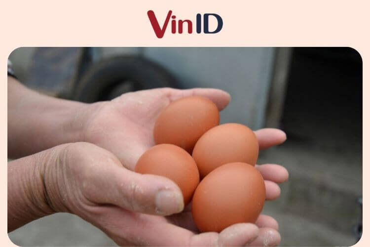 Trứng gà có vỏ nhám, có lớp phấn phủ ngoài là trứng mới và ngon