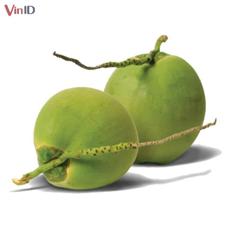Bảo quản dừa nguyên trái ở nhiệt độ thường có thể giữ được 7 ngày