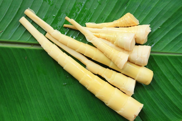 Cách nấu món canh măng tươi ngày Tết ngon đúng vị