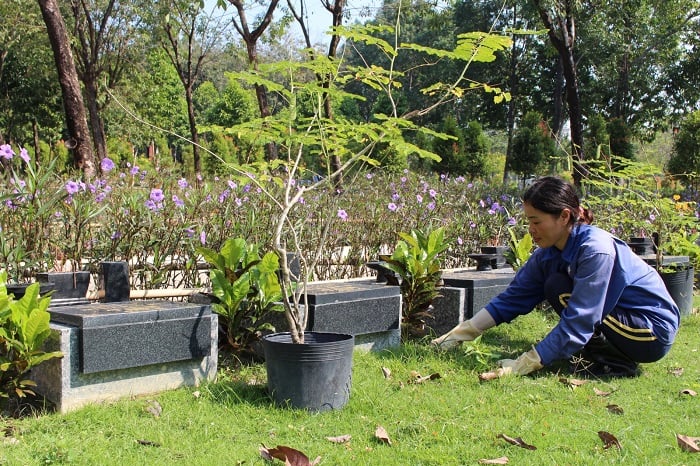 Đi tảo mộ cần chuẩn bị những gì ngày Tết? Ngày tảo mộ là ngày mấy?