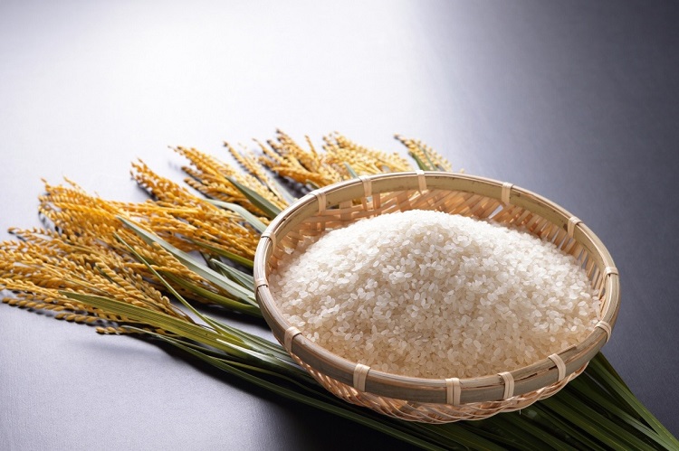 Hạt gạo Nhật hình tròn