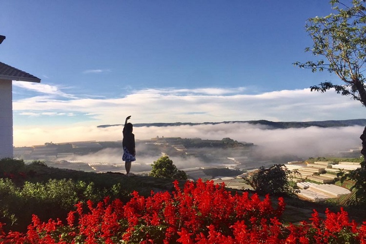 Homestay Đà Lạt - Thung lũng mây