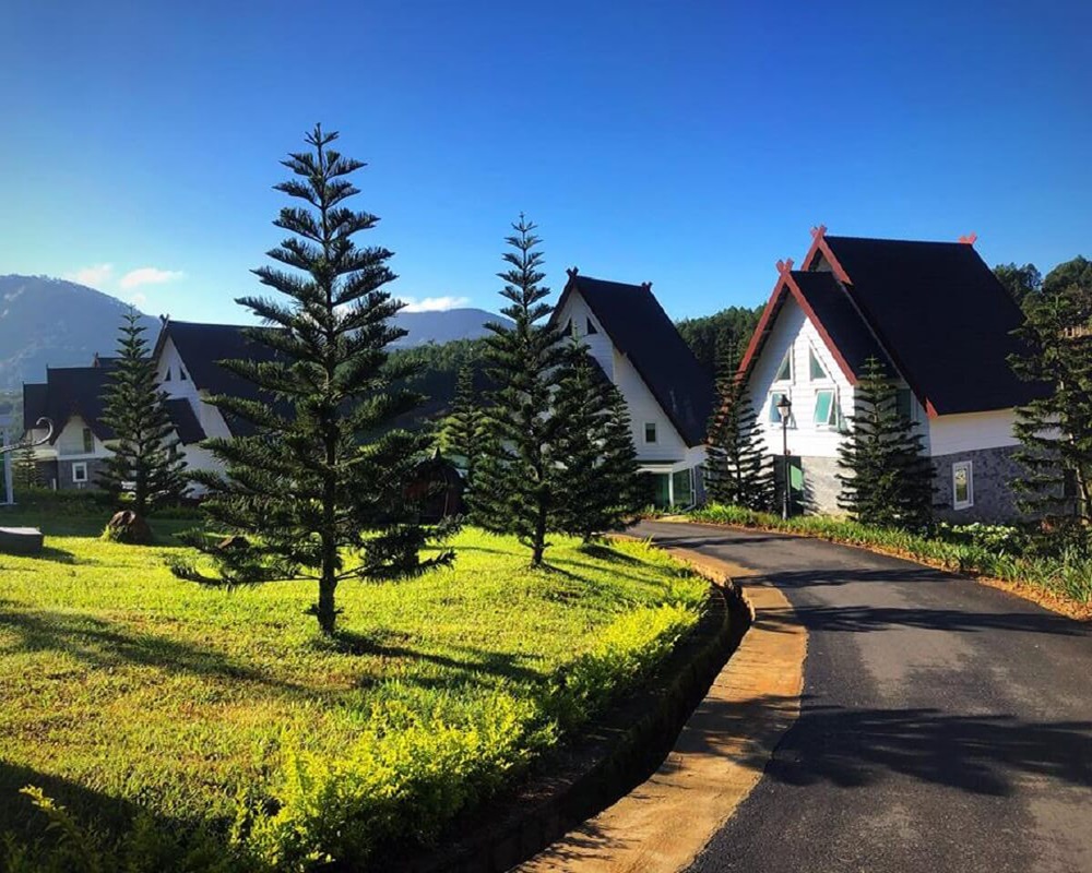 Top 30 homestay Đà Lạt view đẹp, gần trung tâm sốt bần bật mùa này