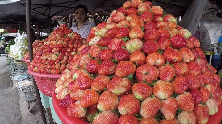 Dâu tây Đà Lạt