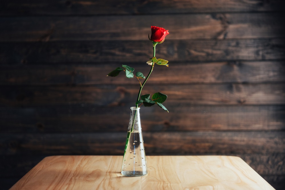 Cắm hoa hồng là một nghệ thuật đặc biệt, với cách bố trí và chọn lựa hoa rất tinh tế. Mỗi bó hoa hồng đều mang một thông điệp riêng, từ tình yêu đến sự biểu tượng cho sự tinh tế và sang trọng. Đến xem hình ảnh để tìm hiểu thêm về cách cắm hoa hồng này.