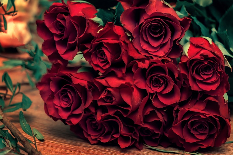 hoa hồng tươi tặng bạn gái