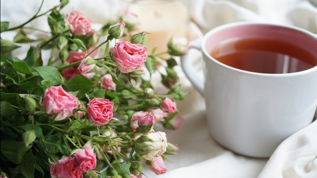 trà hoa hồng