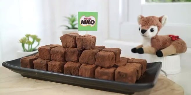 bào quản milo cube