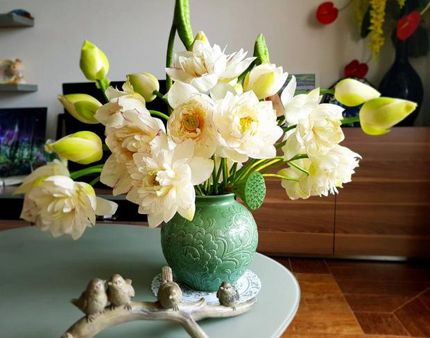 Cắm hoa sen đẹp là một nghệ thuật tuyệt vời mà ai cũng có thể học được. Những bông hoa sen tuyệt đẹp và mềm mại này sẽ làm cho căn phòng của bạn trở nên sang trọng và tinh tế. Hãy xem hình ảnh để khám phá thêm về cách cắm hoa sen đẹp nhé!