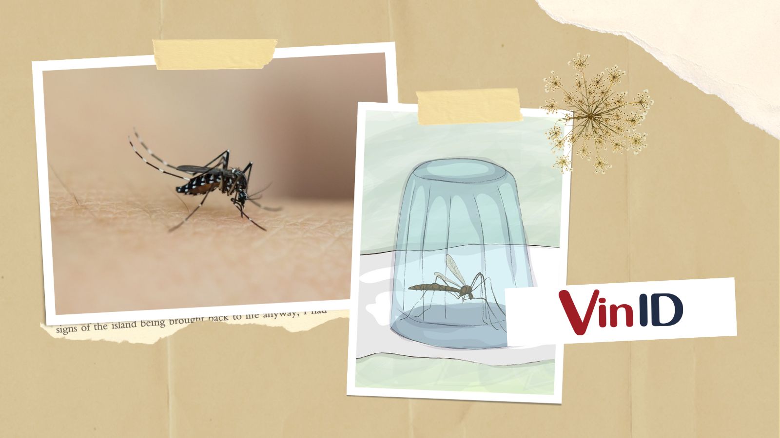 Top 10 cách đuổi muỗi hiệu quả tức thì & cực an toàn cho bé