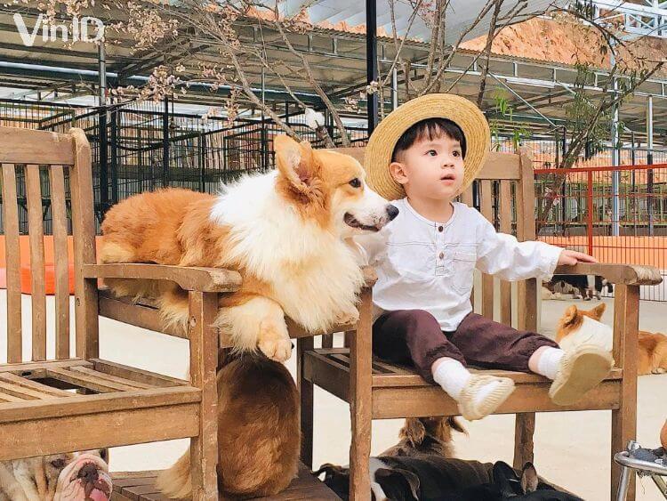 Trại chó con đà lạt