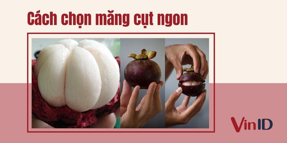 Cách chọn măng cụt ngon