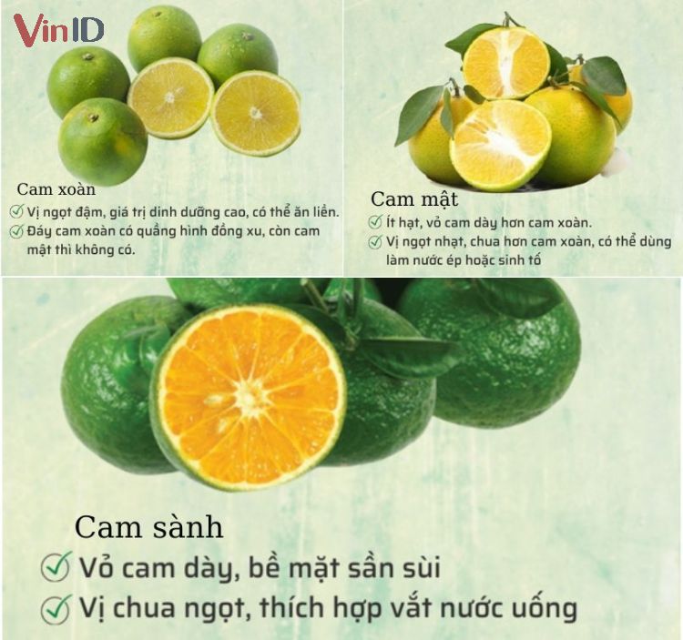 CAM XOÀN  VUA CỦA CÁC LOẠI CAM