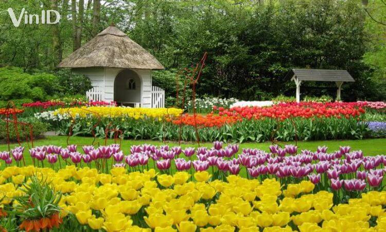 Vườn hoa Minh Tâm vừa phải là điểm đến chọn lựa nhằm thưởng hoa vừa phải là khu vực nghỉ ngơi đẳng cấp