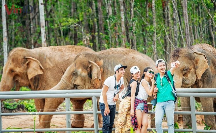 Safari Phú Quốc