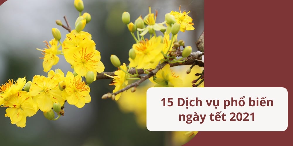 dịch vụ ngày tết