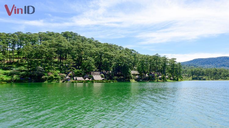 Rừng thông hồ Tuyền Lâm