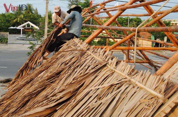 Lá dừa nước được phơi khô dùng để lợp nhà, làm củi đốt hoặc đan rổ, rá….
