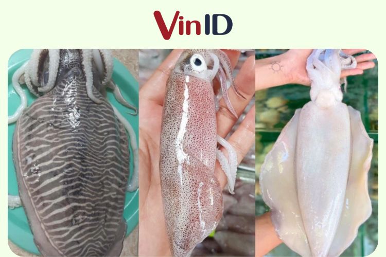 Mực nói riêng và hải sản nói chung cần ăn với liều lượng vừa phải