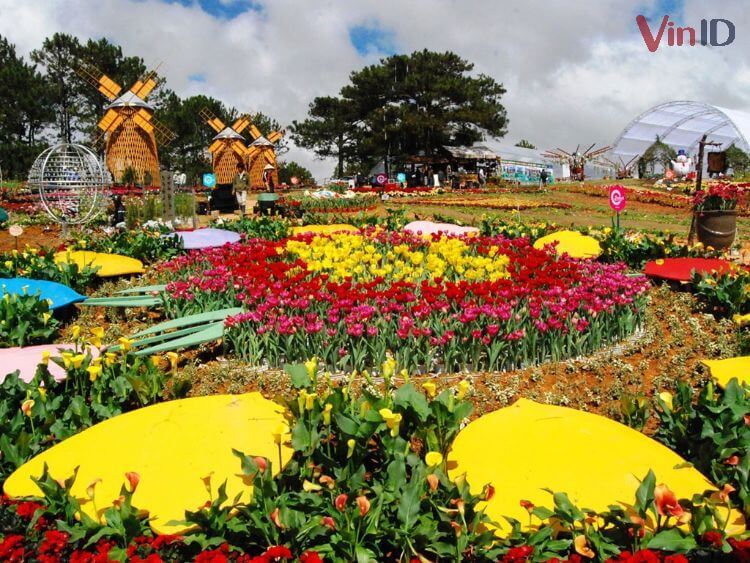 10 vườn hoa Đà Lạt đẹp ngất ngây cho tín đồ mộng mơ | VinID