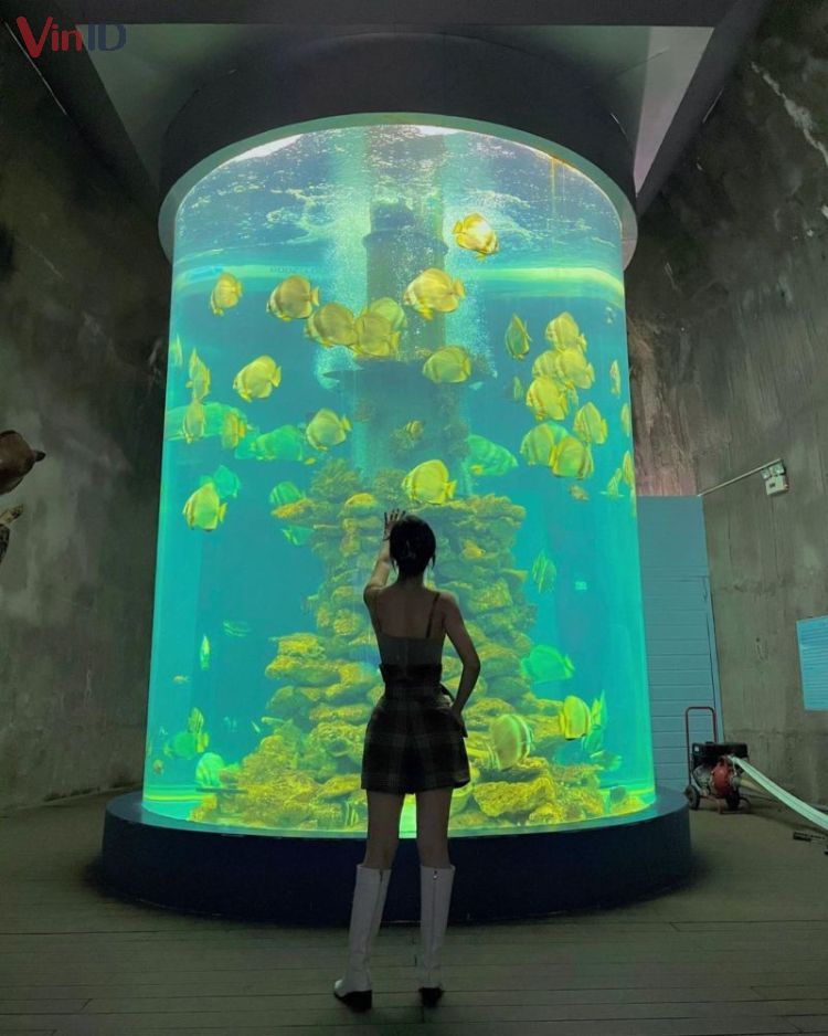 Bể kính trưng bày sinh vật biển