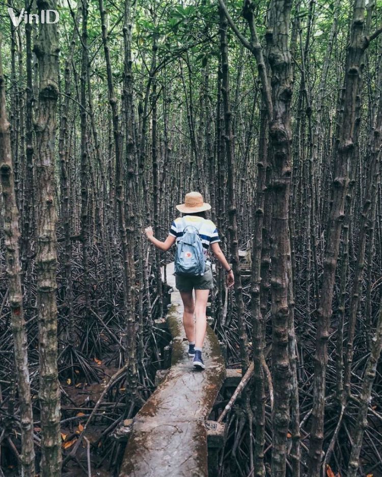 Cắm trại tại Vàm Sát