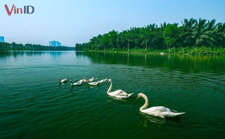 Cắm trại Ecopark tại Công viên Hồ Thiên Nga