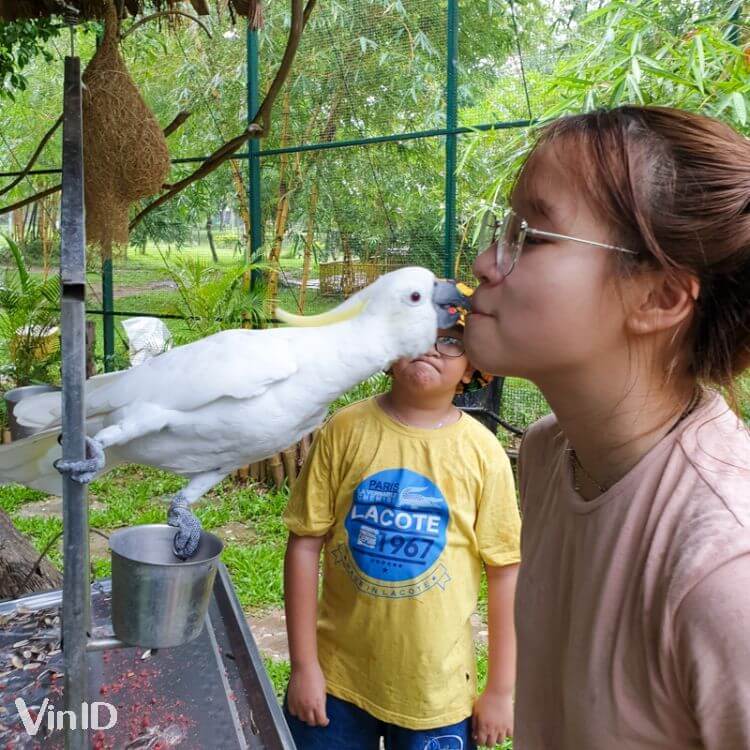 Các hoạt động thú vị tại vườn chim Yang Bay