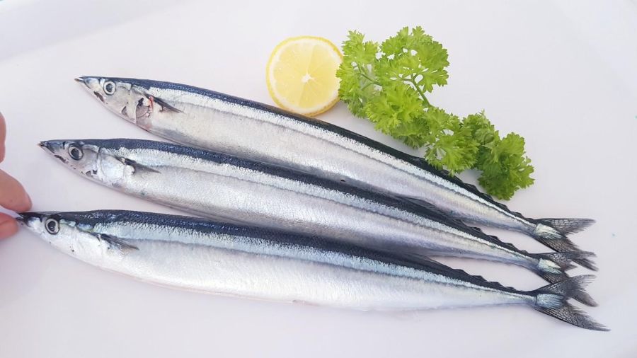 Cá thu nấu gì ngon? 5 món cá thu đơn giản mà “đưa cơm” xuất sắc