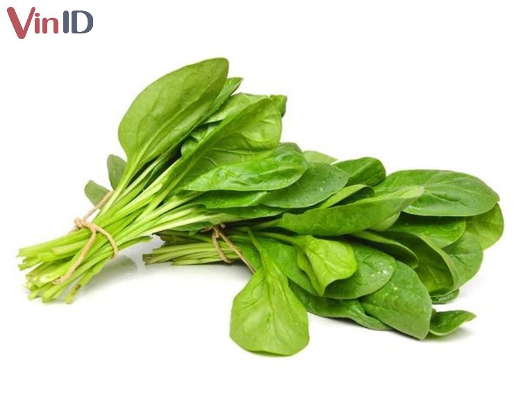 Rau mồng tơi Rau mồng tơi