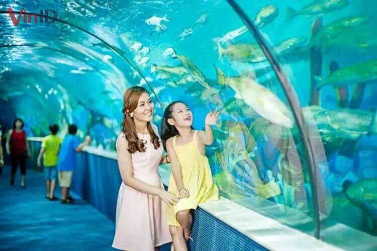 Aquarium Times City Hà Nội - Thủy cung sống động giữa thành phố