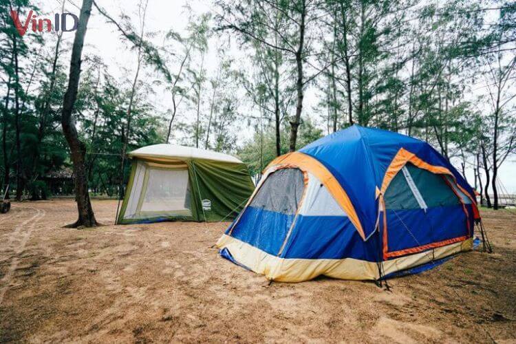 Cắm trại là một trong những hoạt động cực hot tại Đèo Nước Ngọt 