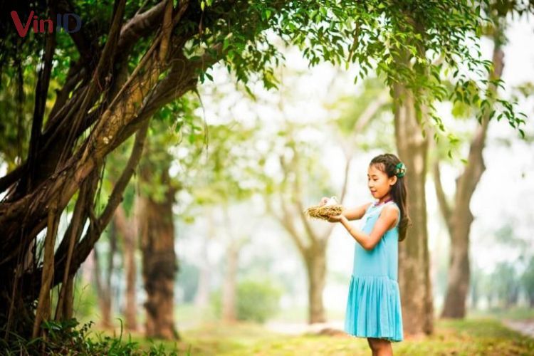 Công viên Mùa Thu - Khu cắm trại Ecopark được nhiều người yêu thích