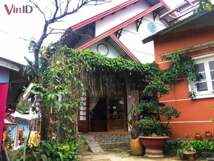 Cloud Valley homestay