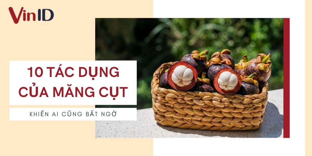 Tác dụng của măng cụt