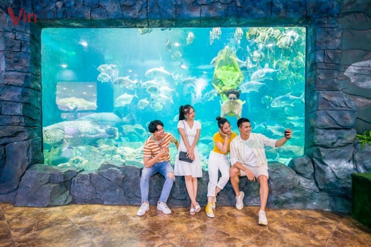 Thủy cung Aquarium 