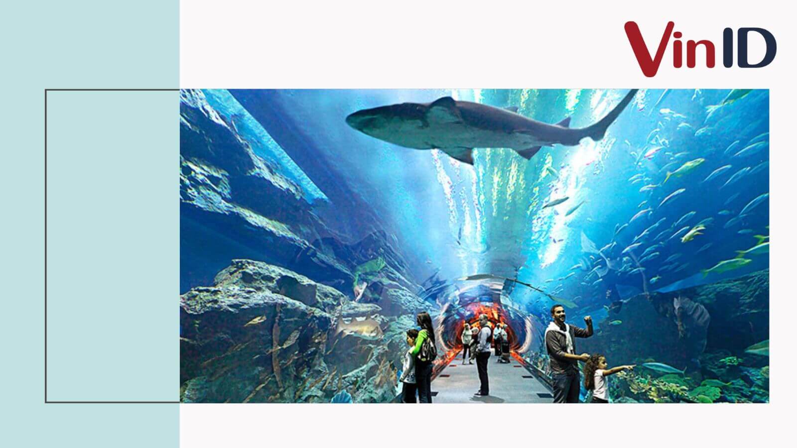 Aquarium times city