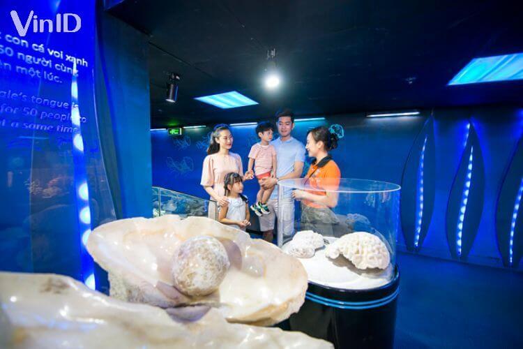 Khu vực trình bày mẫu vật sinh vật biển 