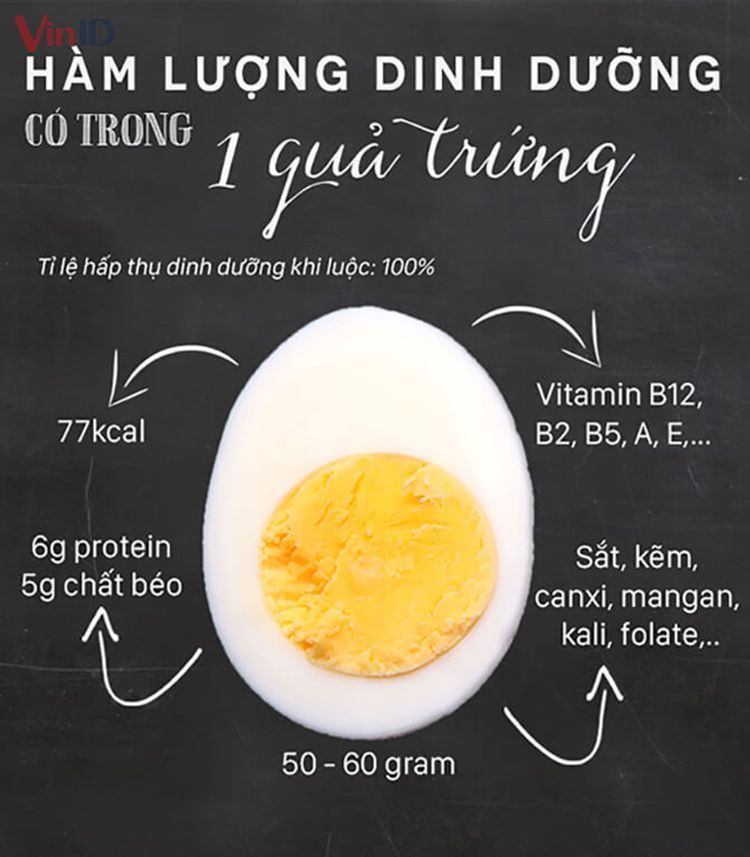 Thành phần dinh dưỡng có trong quả trứng 50 - 60gr 