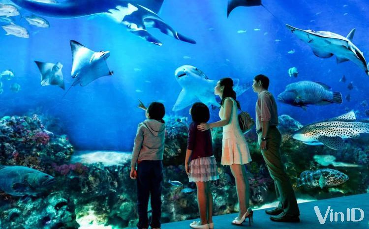 Thủy cung Vinpearl Aquarium Times City