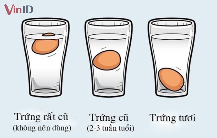 Sử dụng nước để kiểm tra trứng cút