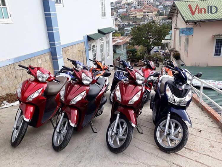 Thuê xe máy tại Đà Lạt giá rẻ – Chị Hoa