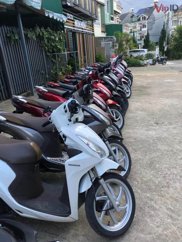 Thuê xe máy tại Đà Lạt – Ngọc Anh