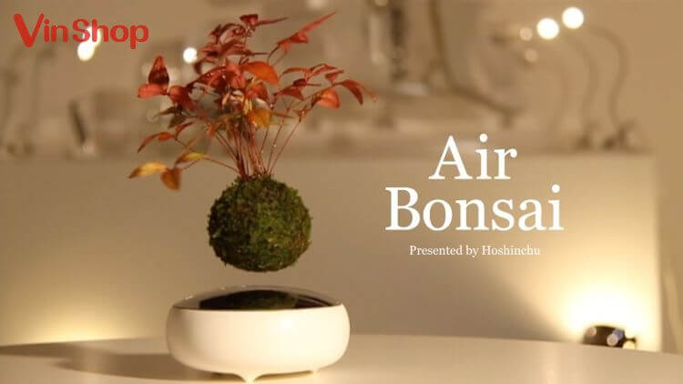 Bonsai biết bay có sự độc đáo, mới lạ và hấp dẫn